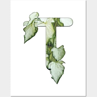 Letter T Posters and Art